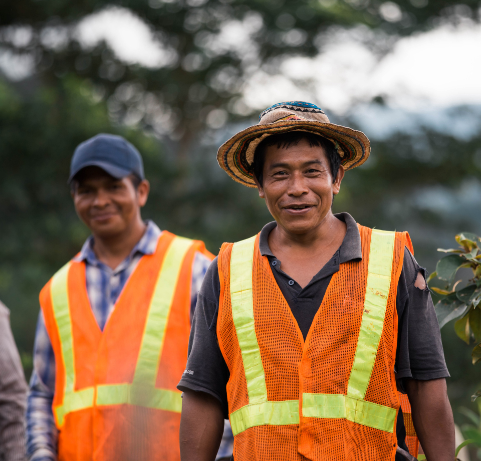 Werde Teil der The Generation Forest Community