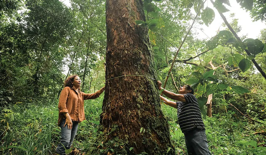 Genossenschaftsgründerin Iliana Armién misst den Umfang eines Baumes.