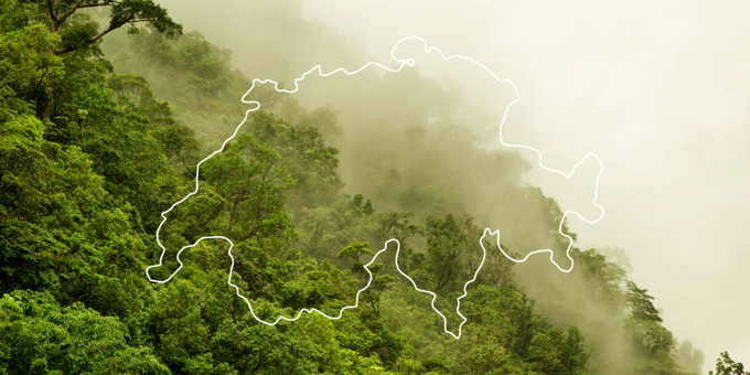 Was hat die Schweiz mit dem Regenwald zu tun?