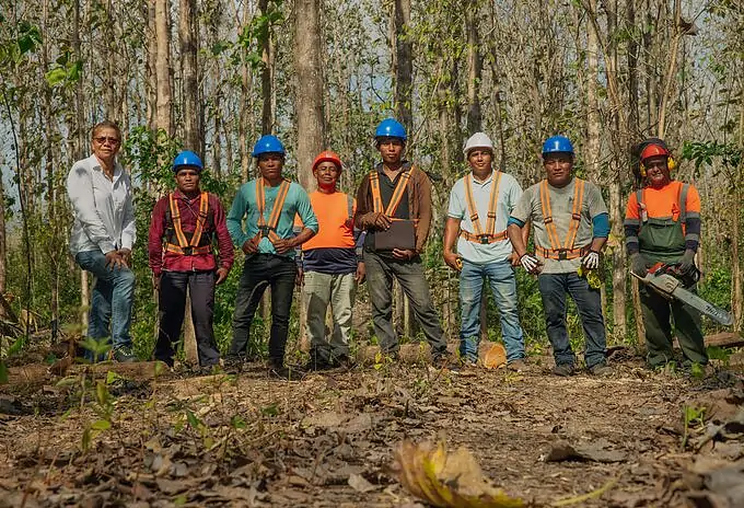 Schutz des Regenwaldes durch Aufforstung Schutz des Regenwaldes durch Aufforstung