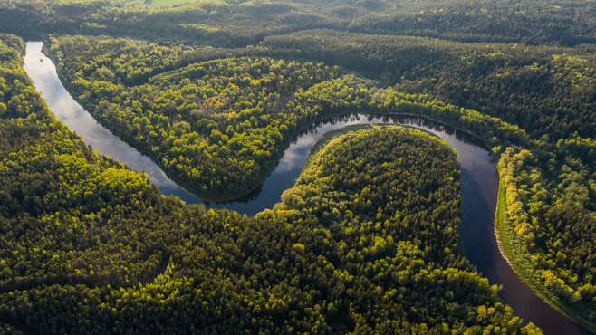 Wälder als naturbasierte Lösungen Artenschutz für ein gesundes Klima
