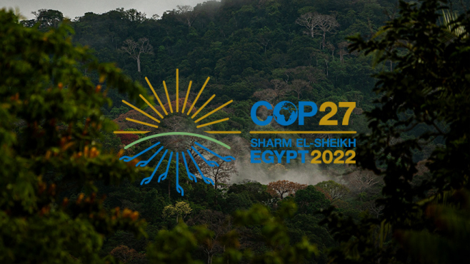 COP27 in Sharm El-Sheikh