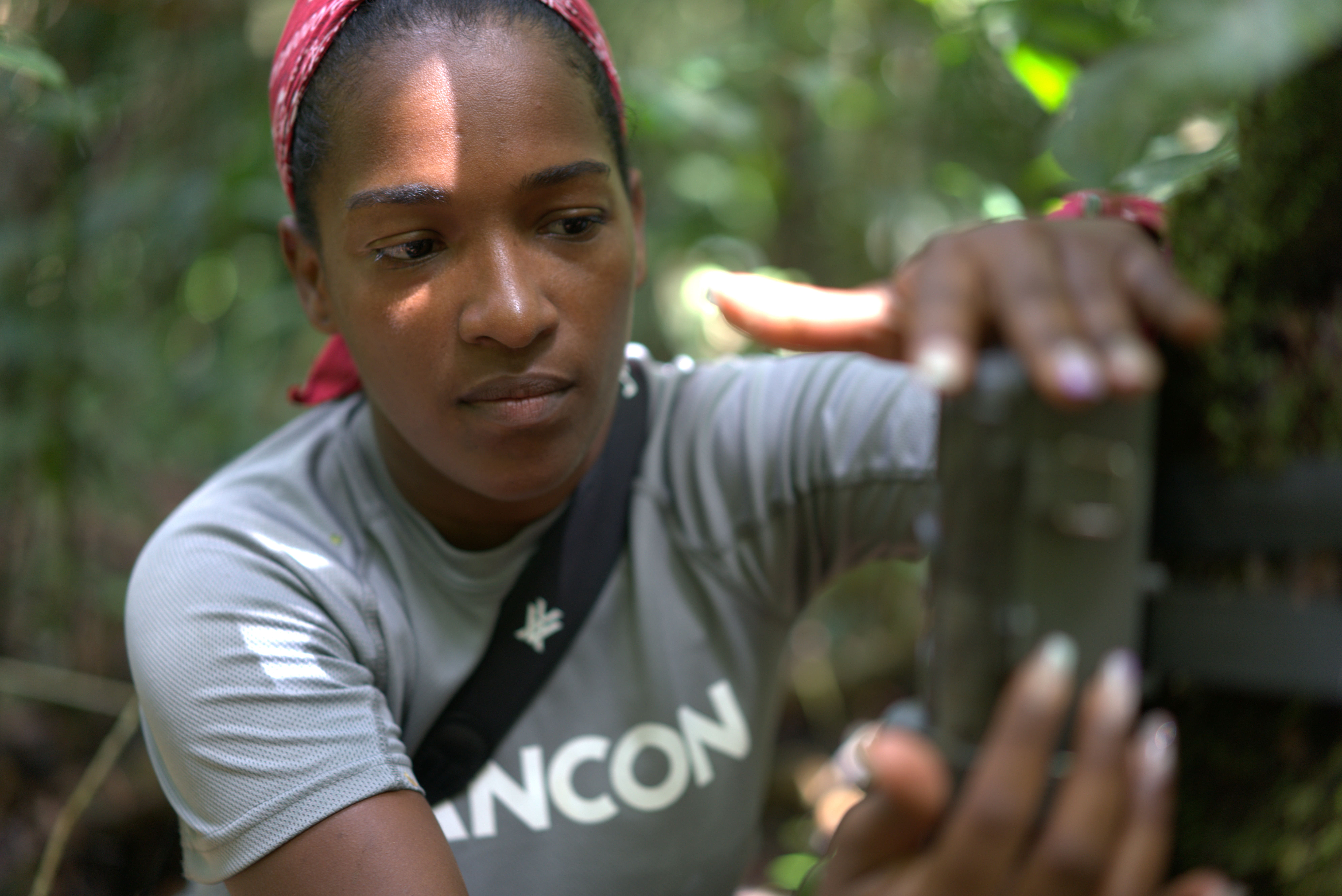 Yolani Holmes setting up cameras in the jungle.