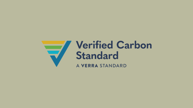 Verified Carbon Standard