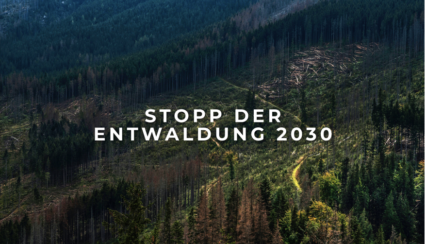 Stopp der Entwaldung 2030