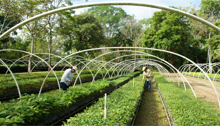 Eine Gruppe von Menschen in einem nachhaltigen Feld