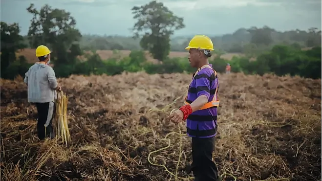 Arbeiter:innen auf dem Feld in der Sonne